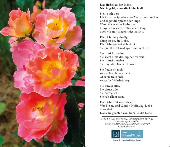 Hohelied der Liebe
